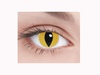 Yellow Cat