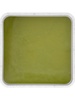 Moss