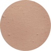 WarmBeige2