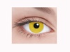 Solid Yellow