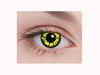 Yellow Wolf
