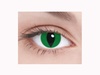 Green Cat