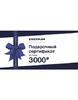 3000
