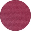 Fuchsia-G